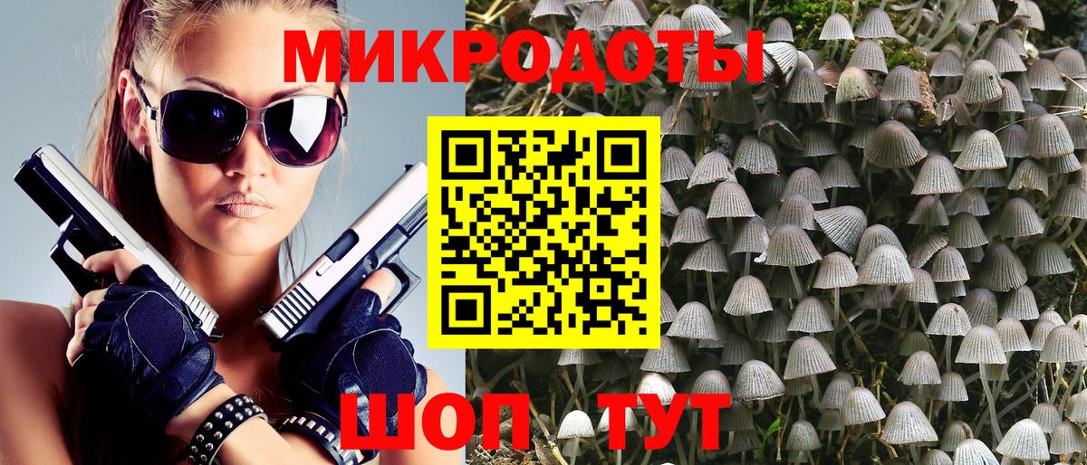Псилоцибиновые грибы прущие грибы Кашира