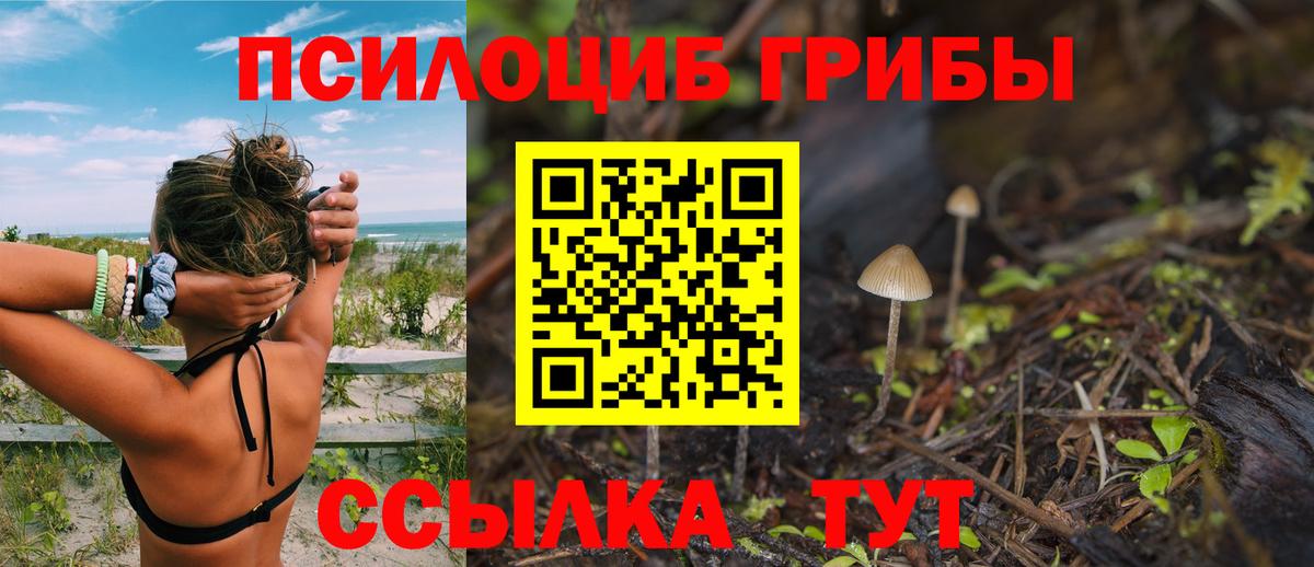 Кашира  Галлюциногенные грибы GOLDEN TEACHER  Вход с VPN 
